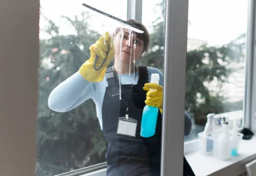 Nettoyage de vitres intérieures et extérieures à Boisgervilly